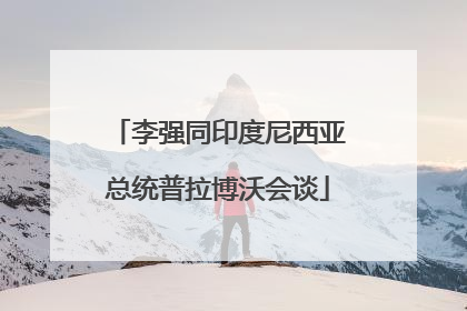李强同印度尼西亚总统普拉博沃会谈